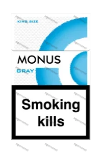 MONUS GRAY King size
